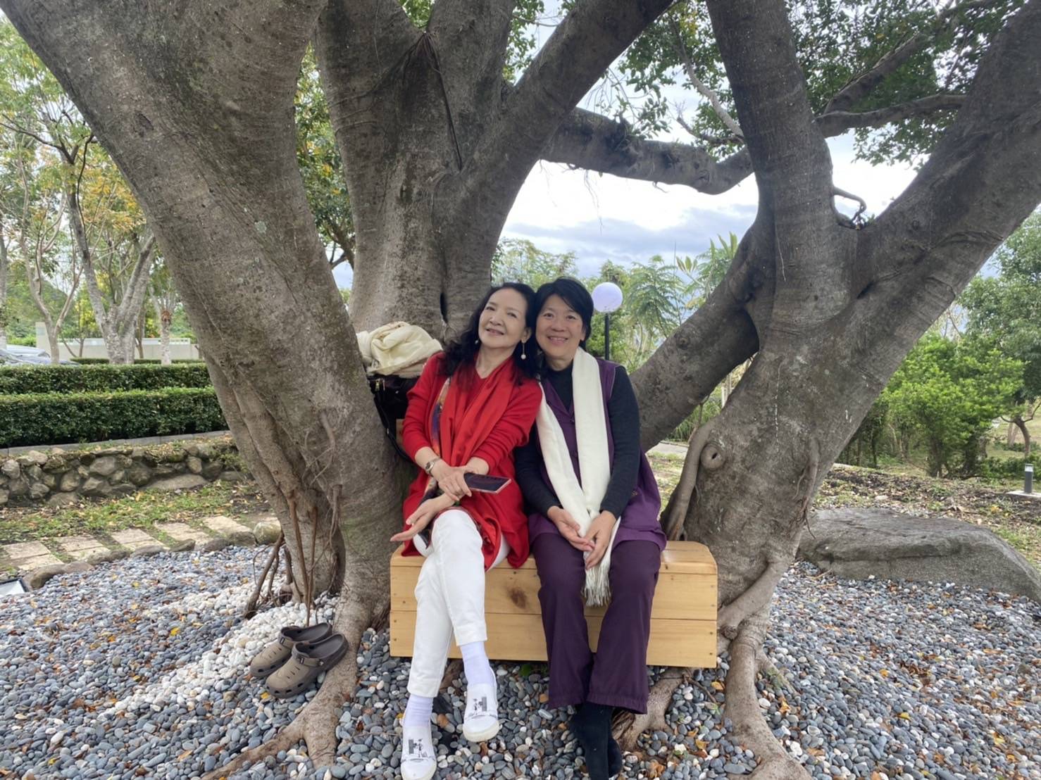 太平洋遇見光音