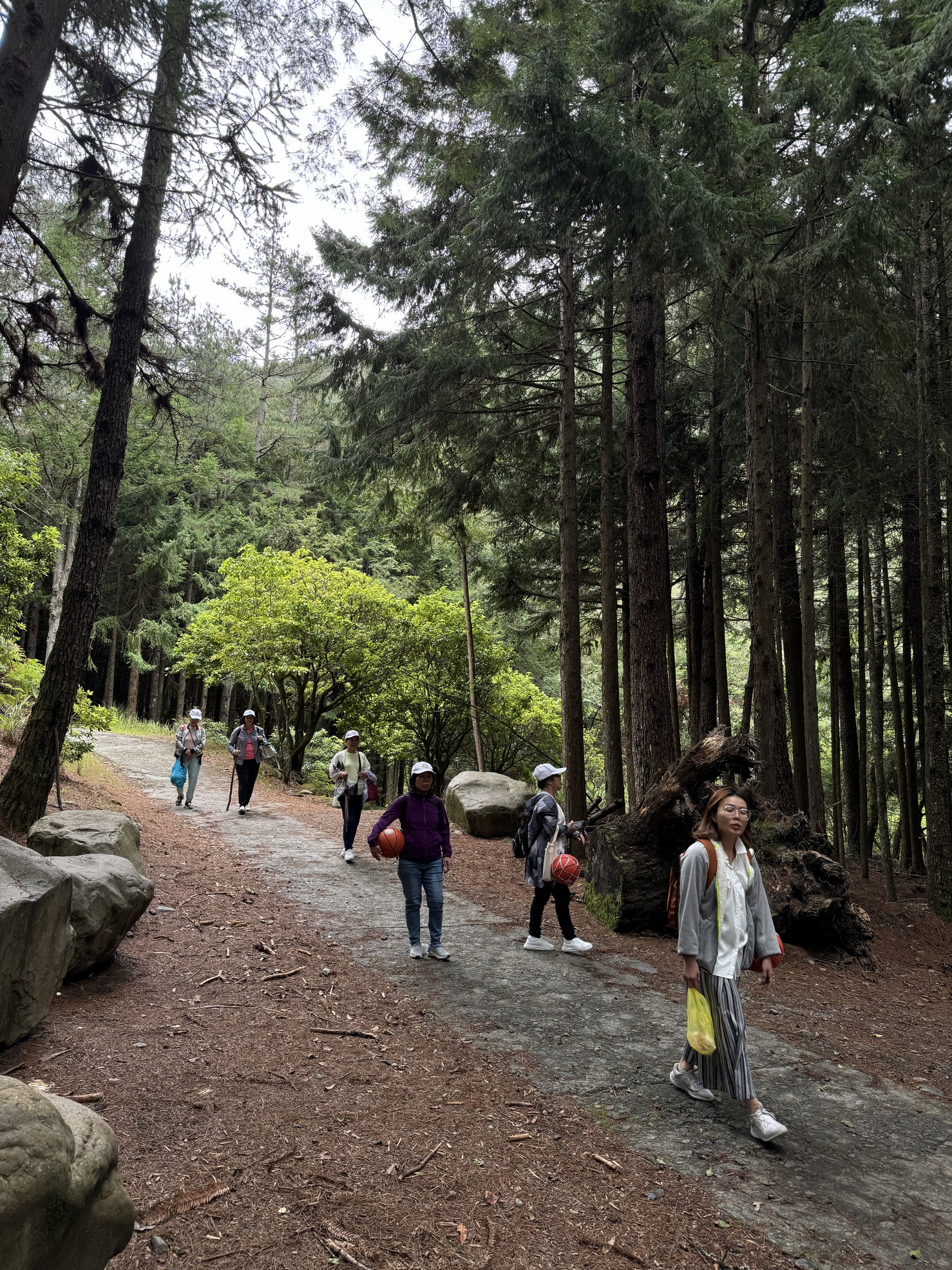 武陵農場【生命大數據】 武陵農場【生命大數據】