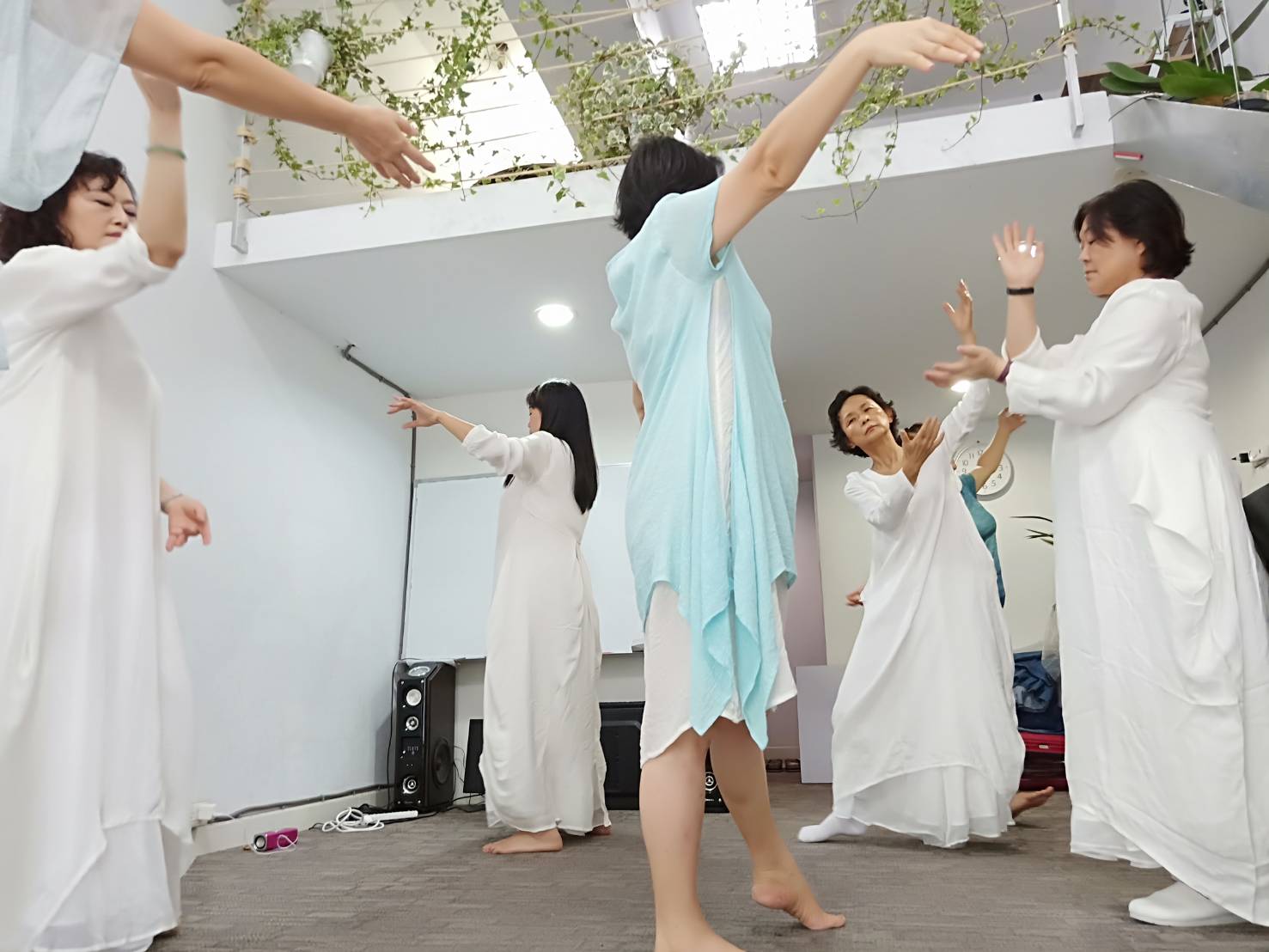 道心禪舞 道心禪舞