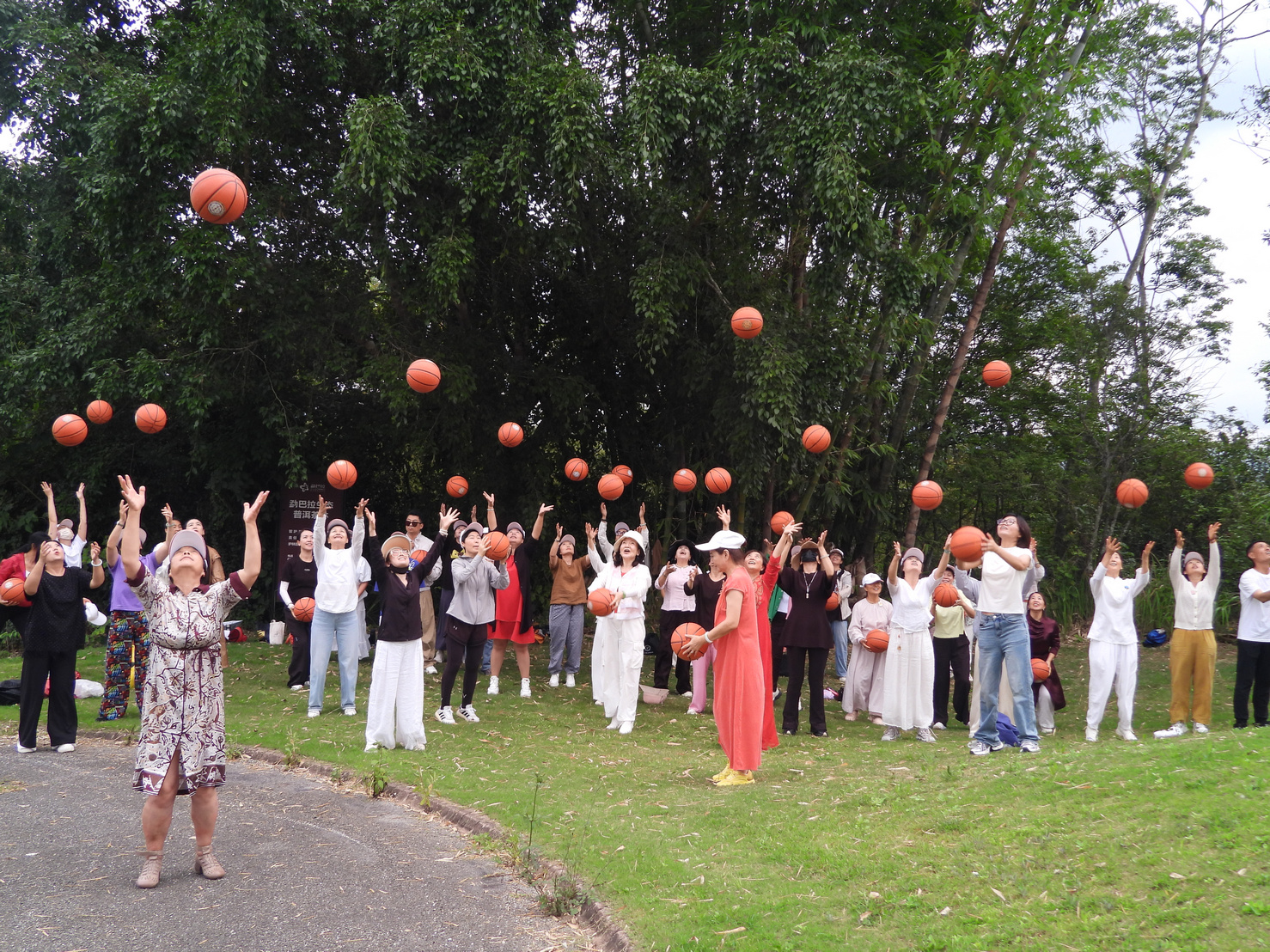西雙版納【生命大數據】